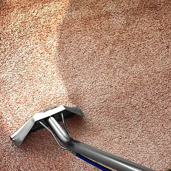 Cactus Carpet Cleaning Tucson Arizona
