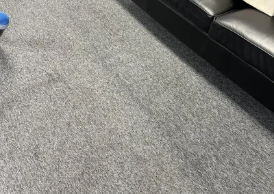 Carpet Cleaning Tucson AZ sample