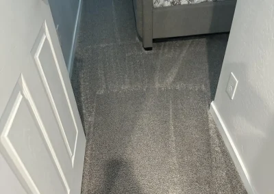 Carpet Cleaning Tucson AZ Results