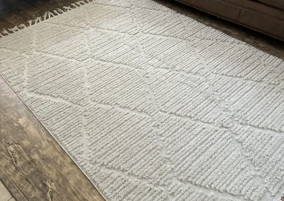 Area Rug Cleaning Tucson AZ Results