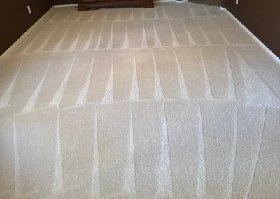 Carpet Cleaning Tucson AZ Results