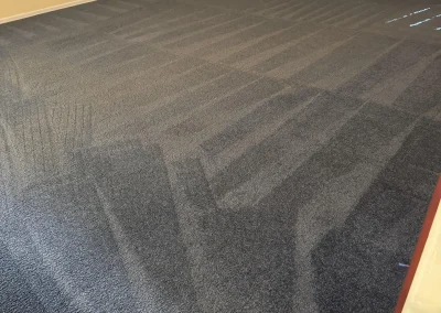 Carpet cleaning results