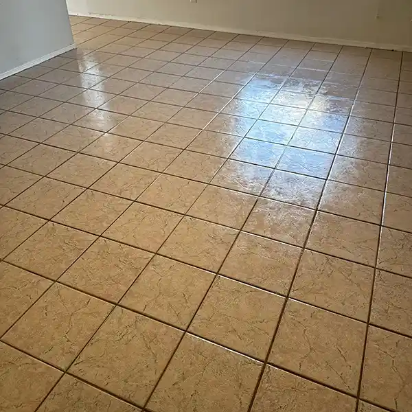 Tile and Grout Steam Cleaning