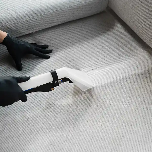 Upholstery Steam Cleaning Service